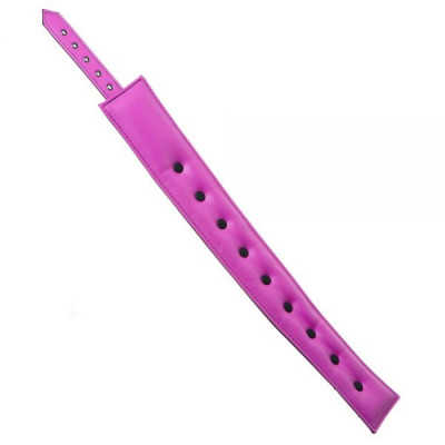 Ошейник с поводком COLLAR & LEASH