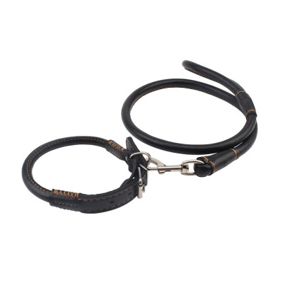 Ошейник и поводок Sexy Slave Collar&Leash Behave Luxury Fetish Chisa