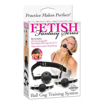 Набор кляпов Ball Gag Training System