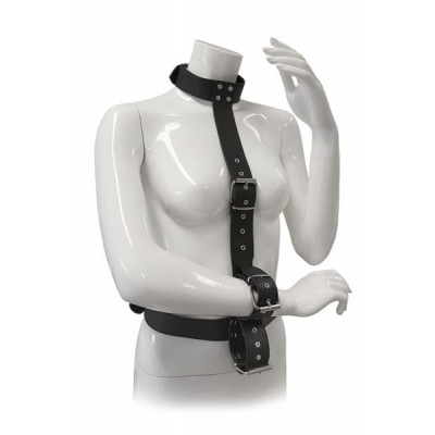 Система фиксации BLAZE RESTRAINT BODY