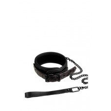 Ошейник с поводком BLAZE COLLAR AND LEASH PURPLE