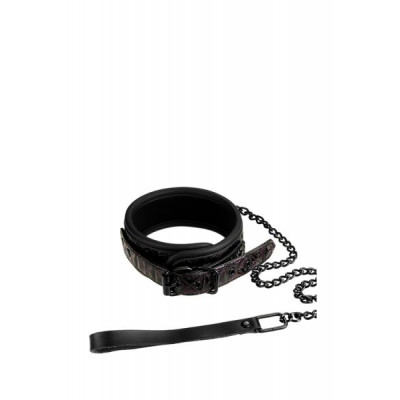 Ошейник с поводком BLAZE COLLAR AND LEASH PURPLE