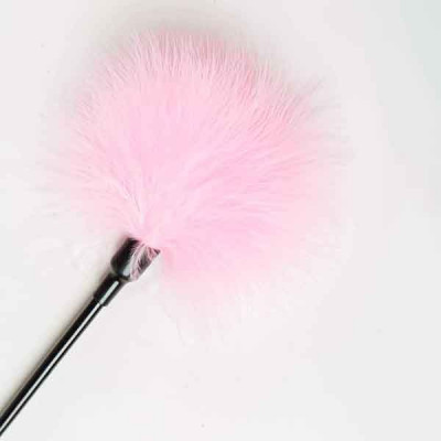 Перышки Для Шалостей Long Handle, Pink