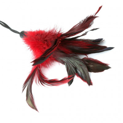 Метелочка-щекоталка Sportsheets - PLEASURE FEATHER RED на веревочной петле Метелочка-щекоталка Sportsheets - PLEASURE FEATHER RED на веревочной петле