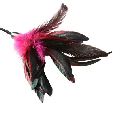 Метелочка-щекоталка Sportsheets - PLEASURE FEATHER ROSE на веревочной петле Метелочка-щекоталка Sportsheets - PLEASURE FEATHER ROSE на веревочной петле