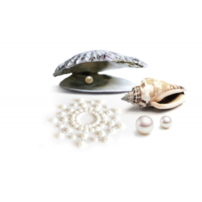 Пестіс з кристалів Bijoux Indiscrets - Mimi Pearl, прикраса на груди Пестіс з кристалів Bijoux Indiscrets - Mimi Pearl, прикраса на груди