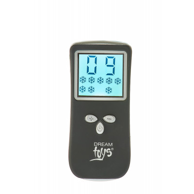 DT21840 Виброяйцо с пультом управления и дисплеем Dream Toys ALL TIME FAVORITES 10F REMOTE EGG DISPL