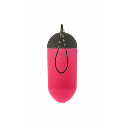 DT21840 Виброяйцо с пультом управления и дисплеем Dream Toys ALL TIME FAVORITES 10F REMOTE EGG DISPL