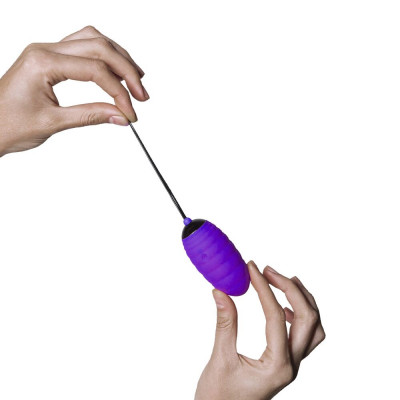 Виброяйце Adrien Lastic Ocean Breeze Purple з пультом ДК Виброяйце Adrien Lastic Ocean Breeze Purple з пультом ДК