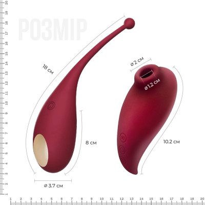 Смарт игрушка Adrien Lastic Inspiration: виброяйцо и вакуумный стимулятор с управлением со смартфона Смарт игрушка Adrien Lastic Inspiration: виброяйцо и вакуумный стимулятор с управлением со смартфона